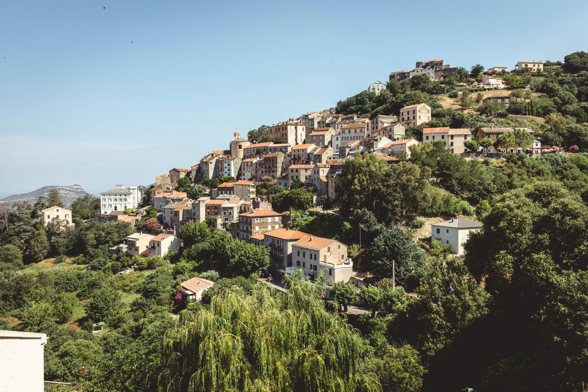 a group of houses on a hill